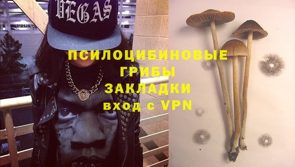 мет Кукмор