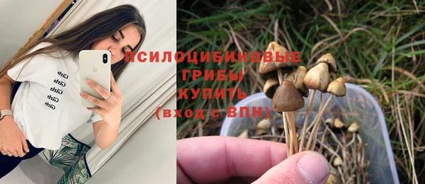 мет Кукмор