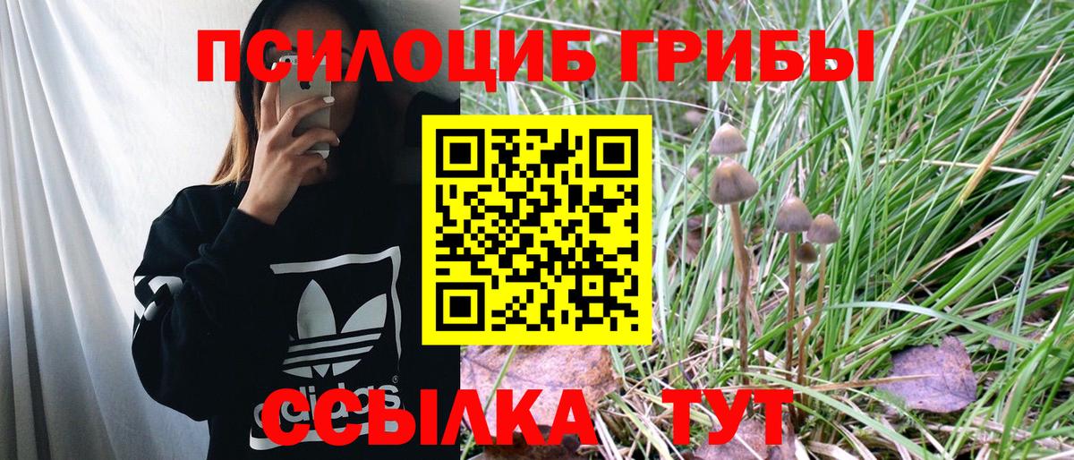 наркошоп  Псилоцибиновые грибы Psilocybine cubensis  Вход с VPN  Назарово 