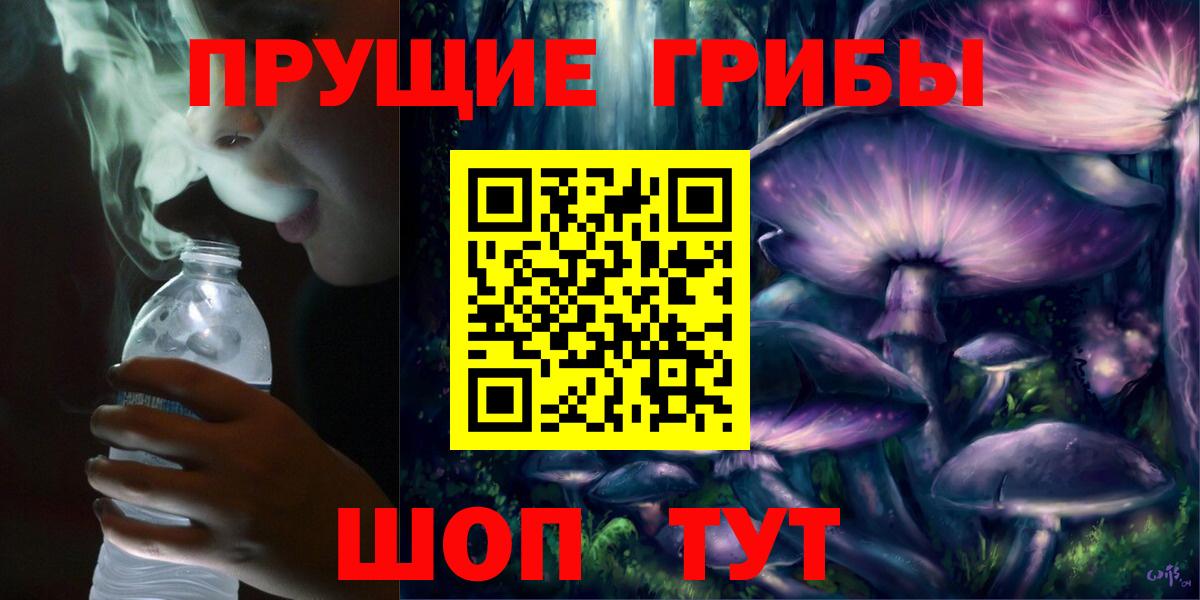 Псилоцибиновые грибы Cubensis Назарово