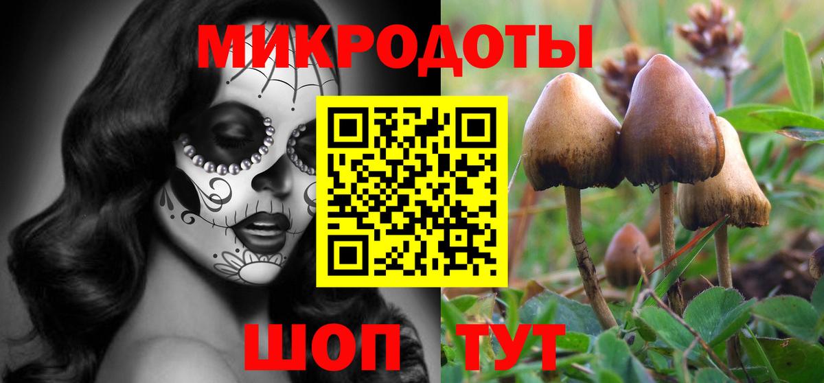 Псилоцибиновые грибы Psilocybe Назарово